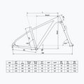 Kellys Spider X50 29" grigio grafite mountain bike 2