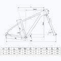 Kellys Spider X70 27,5", mountain bike blu temporale 2