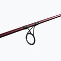 Delphin Etna E3 Sughero 3 sec asta 101000282 7