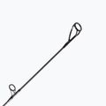 Set carpa Delphin Corsar Canna + Mulinello 2