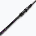 Set carpa Delphin Corsar Canna + Mulinello 4