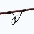 Canna da carp fishing Delphin Etna Leged4ry 5