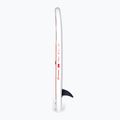 Tavola SUP Gladiator Kids 8'0'' 5