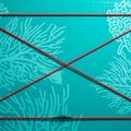 SUP ABSTRACT Coral 10'6'' tavola topazio 3