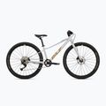 Bicicletta giovanile Superior F.L.Y. 27 argento opaco