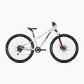 Bicicletta per ragazzi Superior RACER 27 gloss grey
