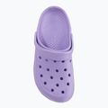 Infradito Coqui donna Cody light lilla/bianco 7
