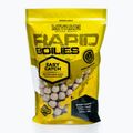 MIVARDI Rapid Boilies Easy Catch Scopex + Cream 3,3 kg palline proteiche