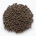 MIVARDI Rapid Boilies Starter Monster & Halibut palline proteiche 3,5 kg 4