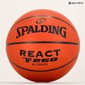 Spalding React TF-250 taglia 7 pallacanestro 6