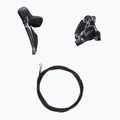 Gruppo accessori Shimano R8170 Ultegra Di2 freni a disco 165mm/52x36T/11-30 6