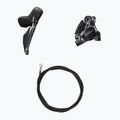 Gruppo accessori Shimano R8170 Ultegra Di2 freni a disco 170mm/50x34T/11-30 7
