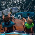 Attacchi da wakeboard JOBE Republic 4