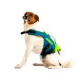 JOBE Pet Vest gilet di sicurezza per cani lime/teal 3