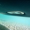 JOBE E-Duna Elite 11'6" tavola da SUP elettrica navy/blu/verde 18