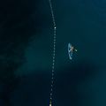 Pacchetto tavola da SUP JOBE Aero Duna 11'6" blu 14