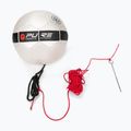 Pure2Improve Allenatore di palloni da calcio nero/rosso 2929 2