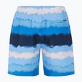 Pantaloncini da bagno Protest Prthamsey gladio blu da uomo 2