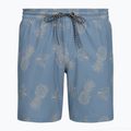 Costume da bagno uomo Hurley Pineapple Volley Swim Short Blue/Brown
