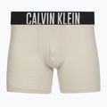 Boxer Calvin Klein 000NB3609A Boxer Brief 3 pairs oatmeal/aged redwood/bright turquoise 2