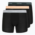 Boxer Calvin Klein LV00NB4394 Brief 3 pairs black w/darkest spruce wb/black w