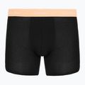 Boxer Calvin Klein LV00NB4394 Brief 3 pairs black w/darkest spruce wb/black w 5