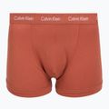 Boxer da uomo Calvin Klein 0000U2662G Trunk 3 pairs sodalite blue/redwood/white pepper 6