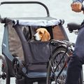 Thule Courier rimorchio per biciclette per due persone blu 10102001 11