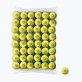 Palline da tennis Wilson Starter Orange Tball per bambini 48 pezzi giallo WRT13730B