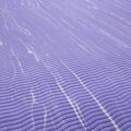 Tappetino da yoga Reebok RAYG-11045PL purple 6
