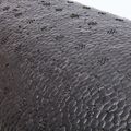 Rullo per massaggi adidas EPP Black foam 5