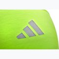 Fascia adidas Sport ADAC-1640 limone lucido 2