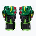 Twins Special Fancy FBGVL3-54 Guantoni da boxe verde erba/nero 2