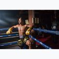 Fairtex Universal "Tight-Fit" Design Guantoni da boxe Falcon oro 3
