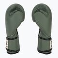 Fairtex F-DAY Edizione limitata di guantoni da boxe per sottaceti 4