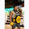 Fairtex Speed & Accuracy Focus Mitts nero/oro zampe da addestramento 6