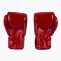 Guanti da boxe Fairtex ONE X Fairtex rosso 3