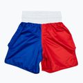 Fairtex Boxing Trunks BT2001 'Philippines' pantaloncini da boxe rosso/bianco/blu 2