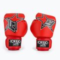 Guantoni da boxe YOKKAO Institution Boxing red 2