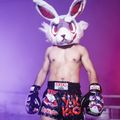 Pantaloncini da allenamento da uomo YOKKAO Angry Rabbit Muay Thai black 6