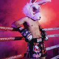 Pantaloncini da allenamento da uomo YOKKAO Angry Rabbit Muay Thai black 7