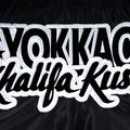 Pantaloncini da allenamento da uomo YOKKAO Khalifa Kush Muay Thai black 4
