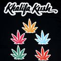 Maglietta da allenamento da uomo YOKKAO Khalifa Kush Workout black 3