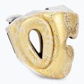Casco da pugilato Top King Super Star bianco/oro 2