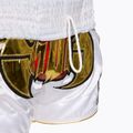 Pantaloncini da allenamento multicolore Top King Kickboxing 5