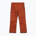 Pantaloni da snowboard da uomo Volcom L Gore-Tex Pant Burnt Orange 10