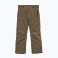 Pantaloni da snowboard da uomo Volcom L Gore-Tex Pant Teak 9