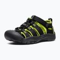 Sandali per bambini KEEN Newport H2 black/lime green 4