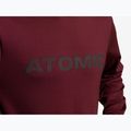 Felpa Atomic Alps da uomo marrone 2
