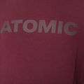 Felpa Atomic Alps da uomo marrone 5